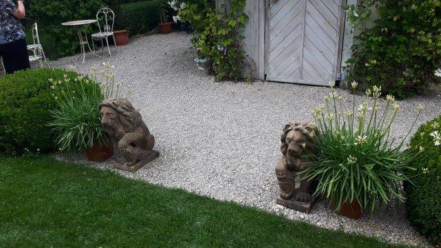 2017_06_21doschka_garten020.jpg